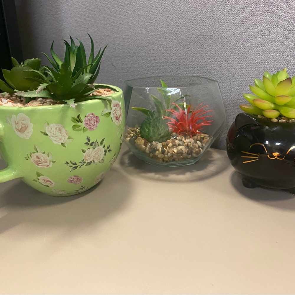 Faux Succulents Within Cute Plant Holders